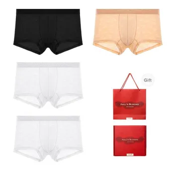 Maiden House Underwear Gift Box Men's 4 Pack