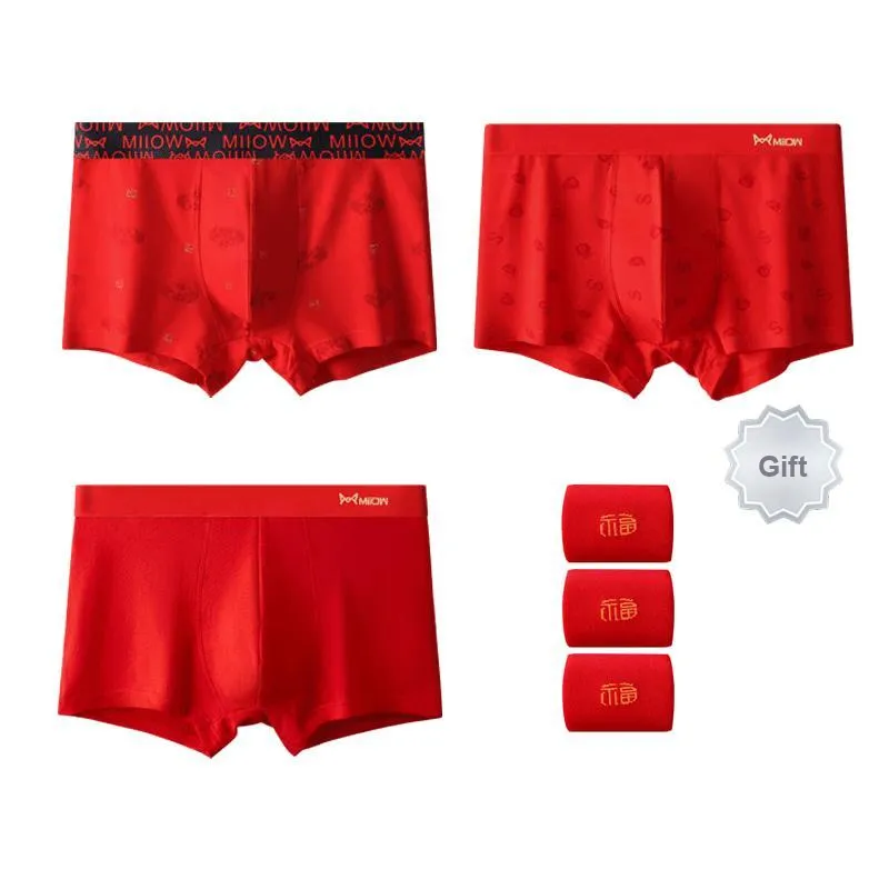 MIIOW Men Underpants-5