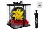 Rose Box+Pump