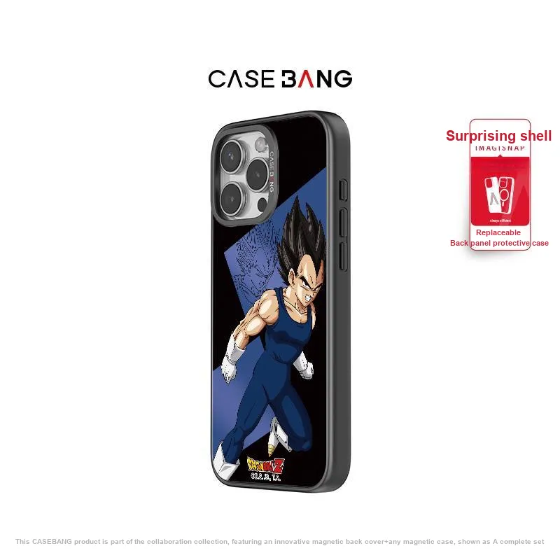 CASEBANG Phone Cases-19
