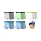 Light Blue+Light Blue+Light Green+Gray+White (Box of 5 Pcs)