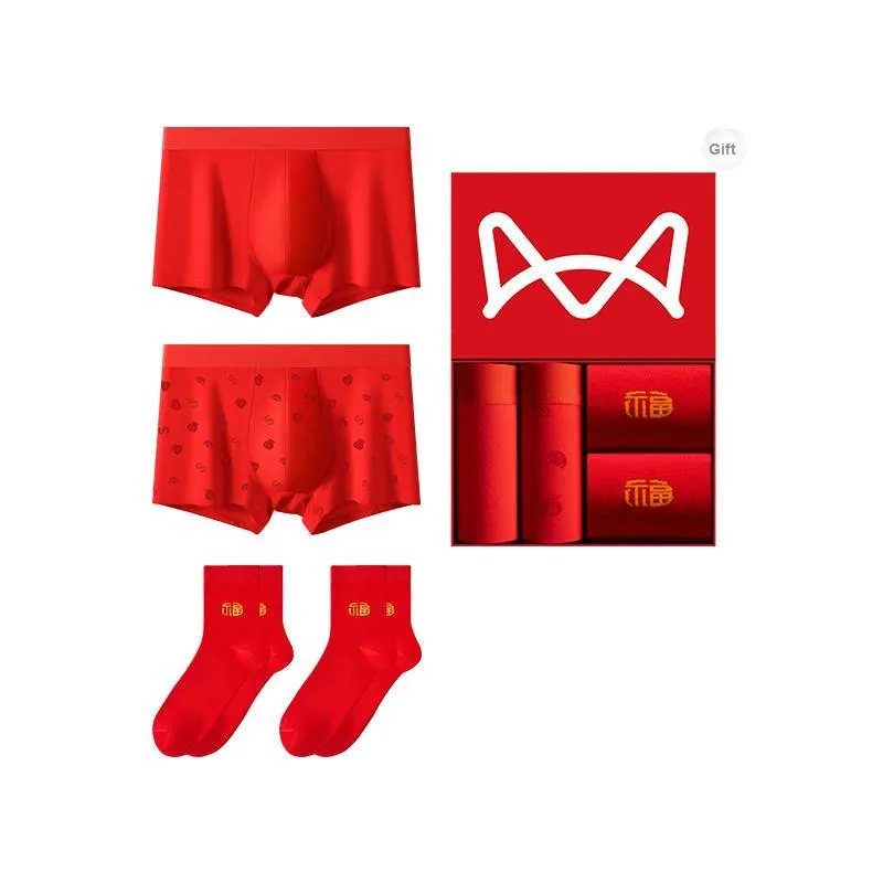 MIIOW Underwear Gift Box Men's 2 Pack+2 Pack Socks-6