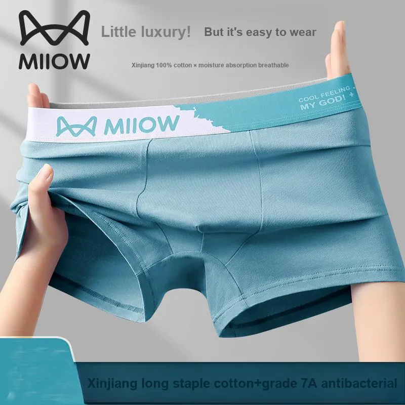 MIIOW Underpants Men's Combo Set-5