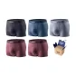 Red Coffee+Red Coffee+Gray Blue+Dark Gray+Eyeshadow Gray (Box of 5 Pcs)
