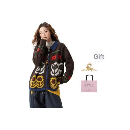 EVPGB Красный кофе Женские свитеры