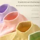 9-Ginger Yellow-Pink-Purple-Light Blue-Black