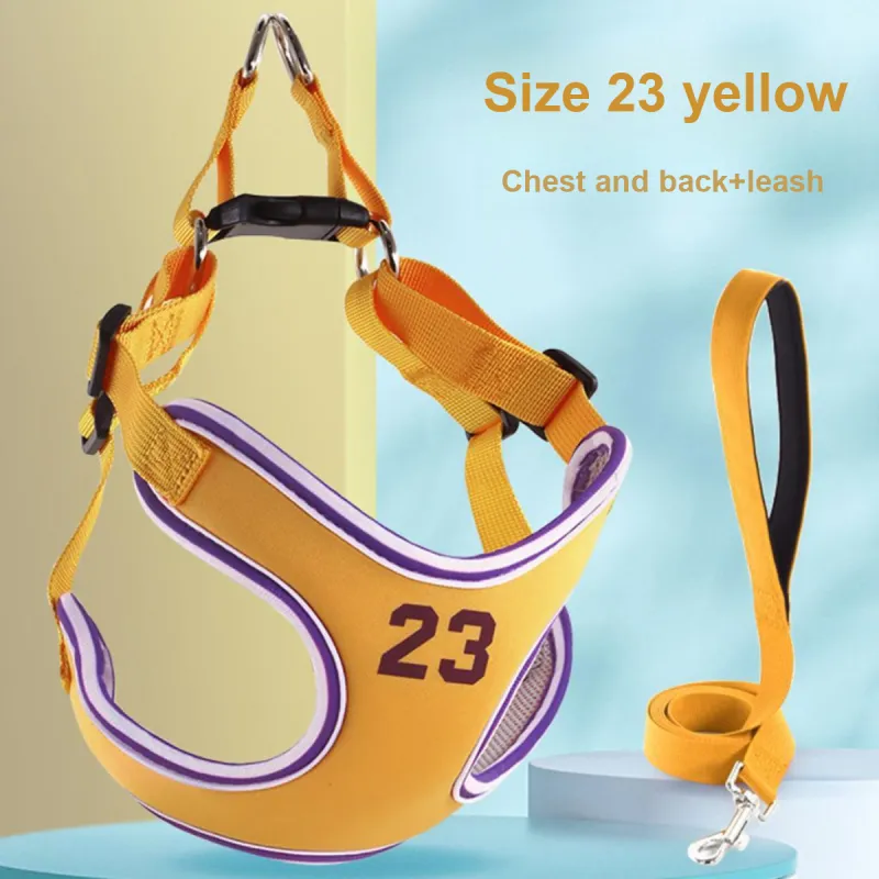 Kimpets Leashes-1