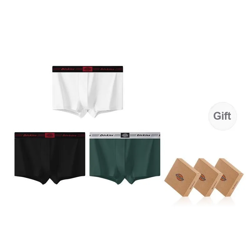 Dickies Underpants Men's Combo Set-60