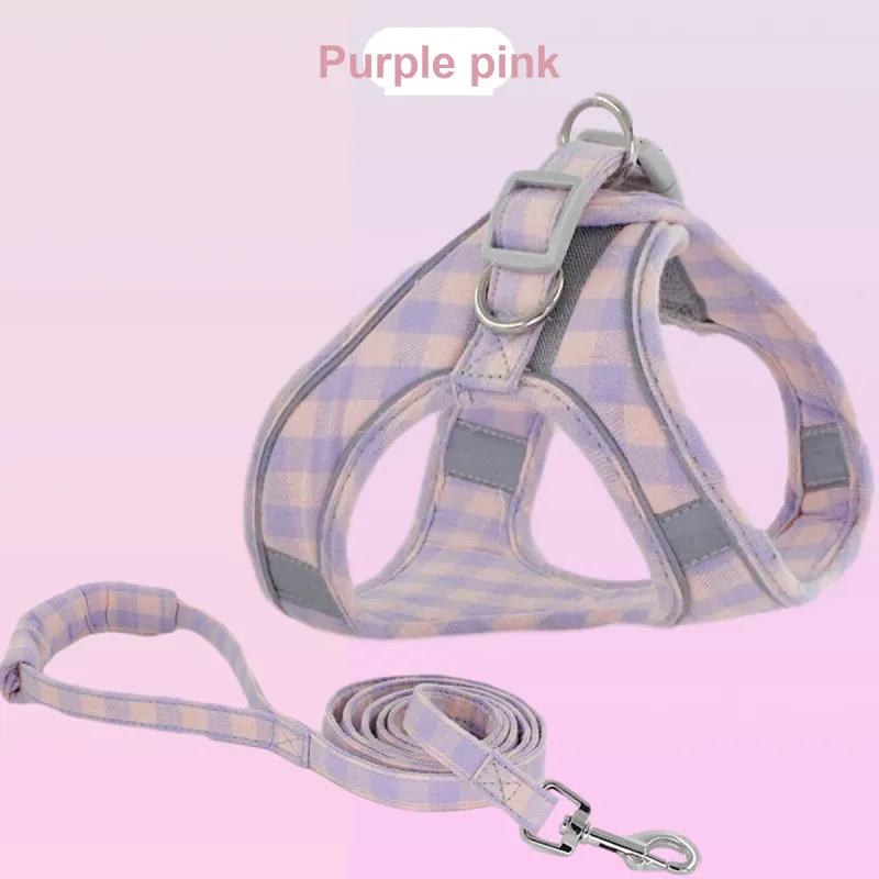 Kimpets Leashes-1