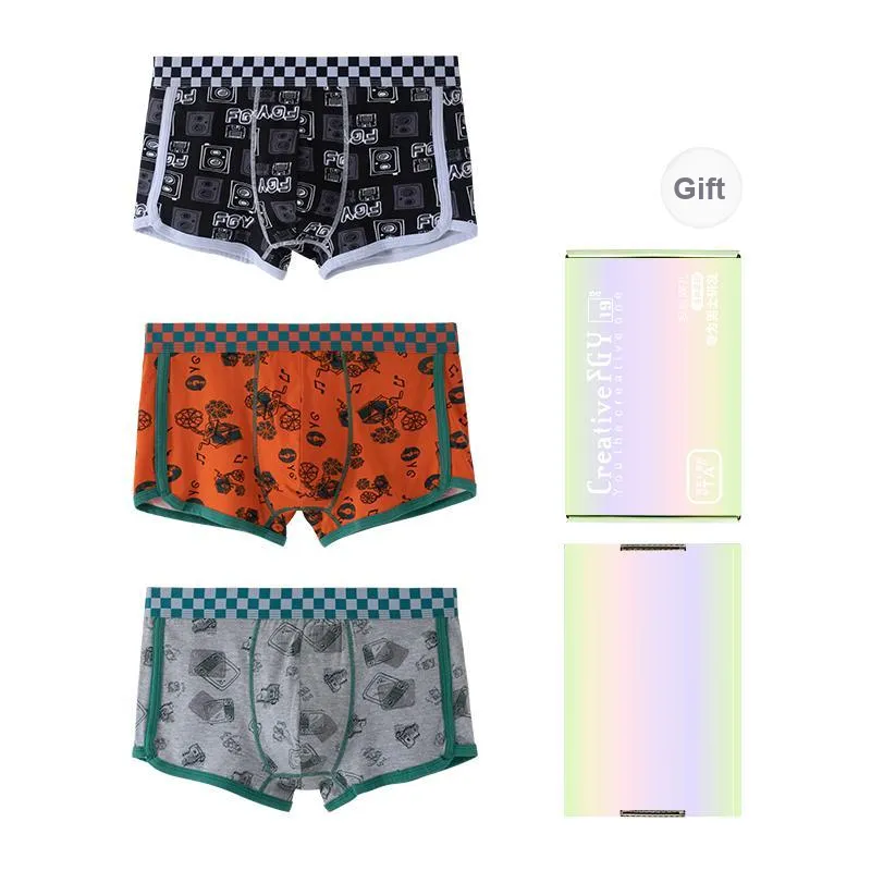 FGY Men Underpants-4