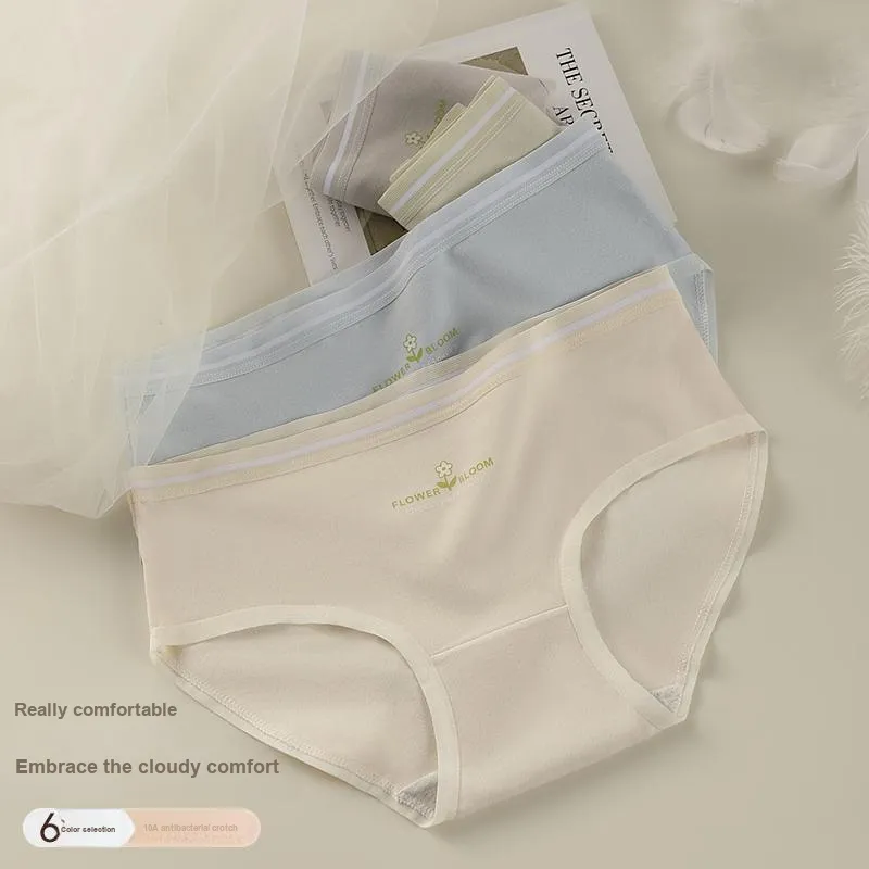 Lan Miao Underpants Women's Combo Set-16