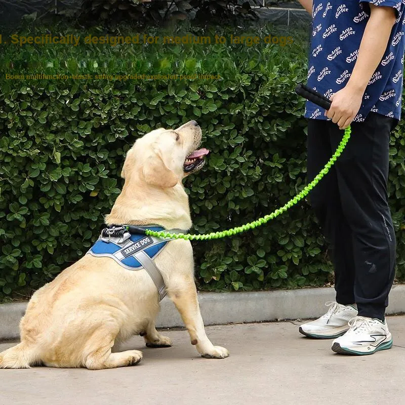 Pampering Leashes-14