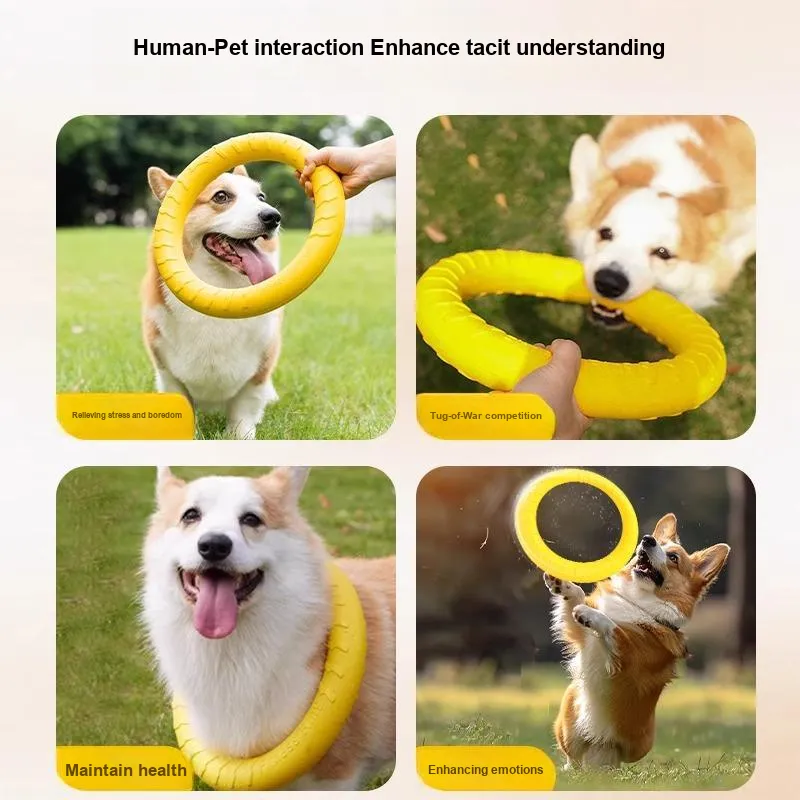 Hippie dogs Pet Toys-4