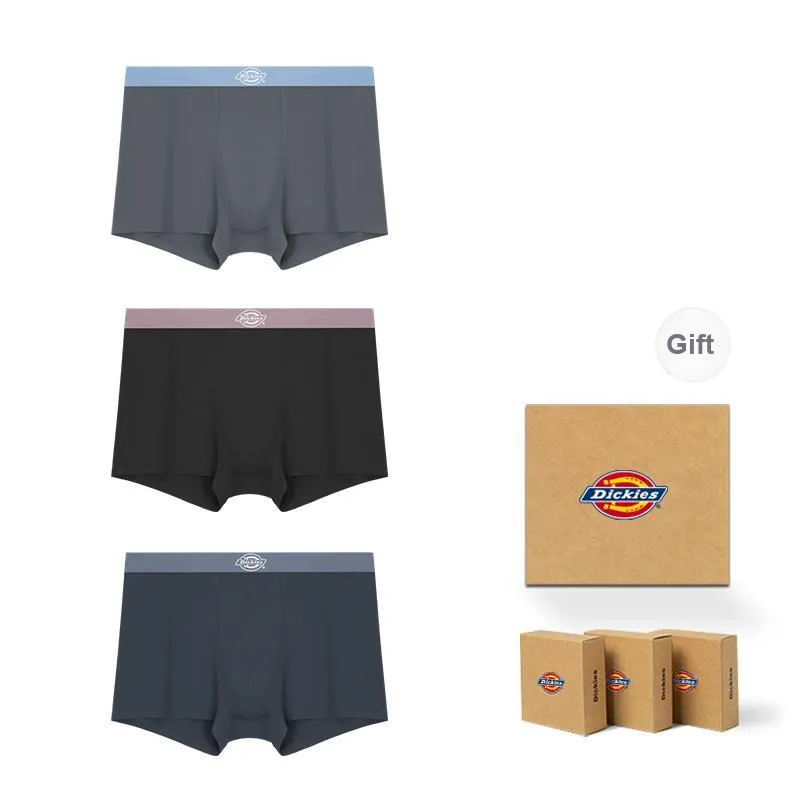 Dickies Underpants Men's Box 3 Pack-44