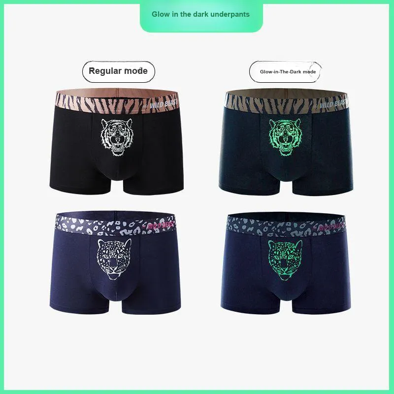 ROBINHOOD Underpants Men's 3 Pack-19