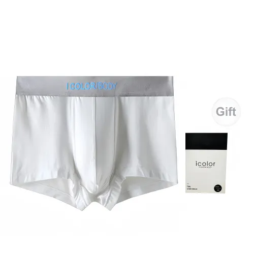 Icolor Men Underpants