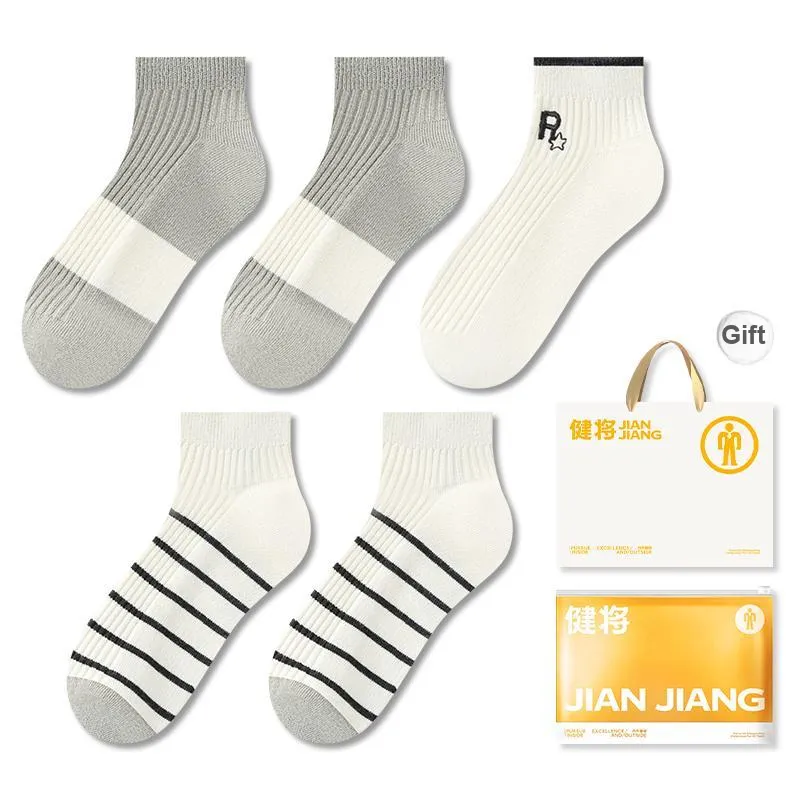 Master Mid Calf Socks Men's Box 5 Pack-12