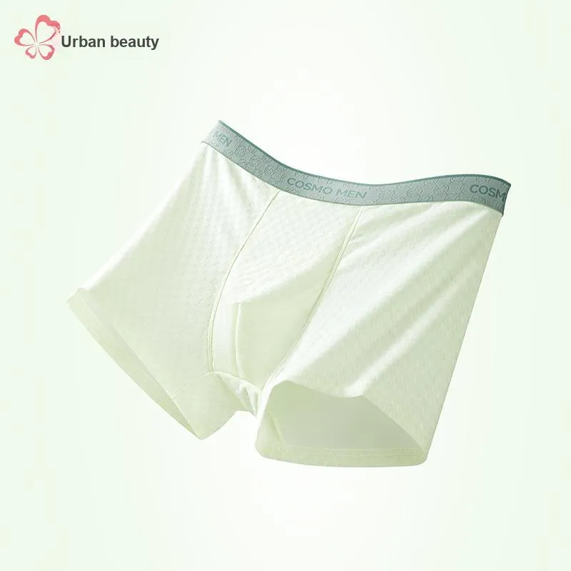 Urban Beauty Underpants Men's Combo Set-13
