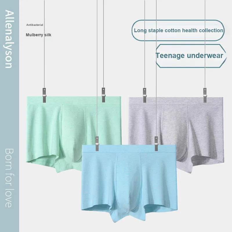 Allenalyson Underpants Men's 3 Pack-8