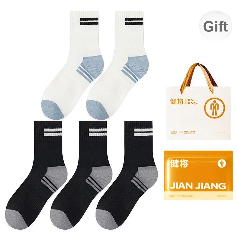 Master Mid Calf Socks Men's Box 5 Pack-20