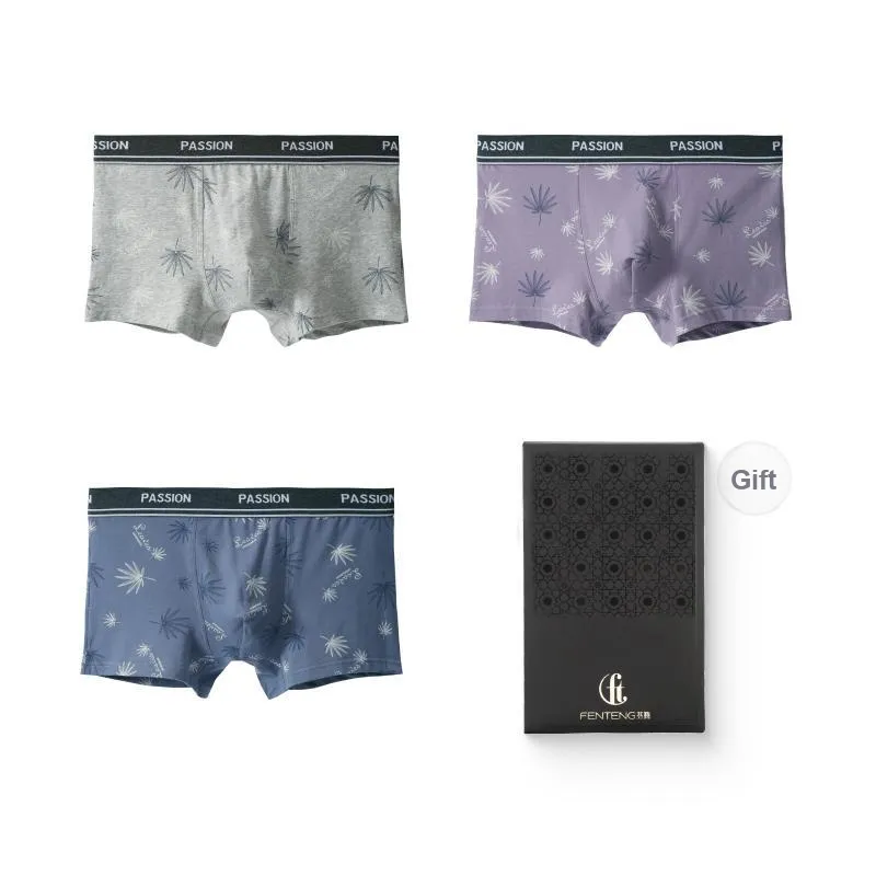 FENTENG Underpants Men's 3 Pack-0