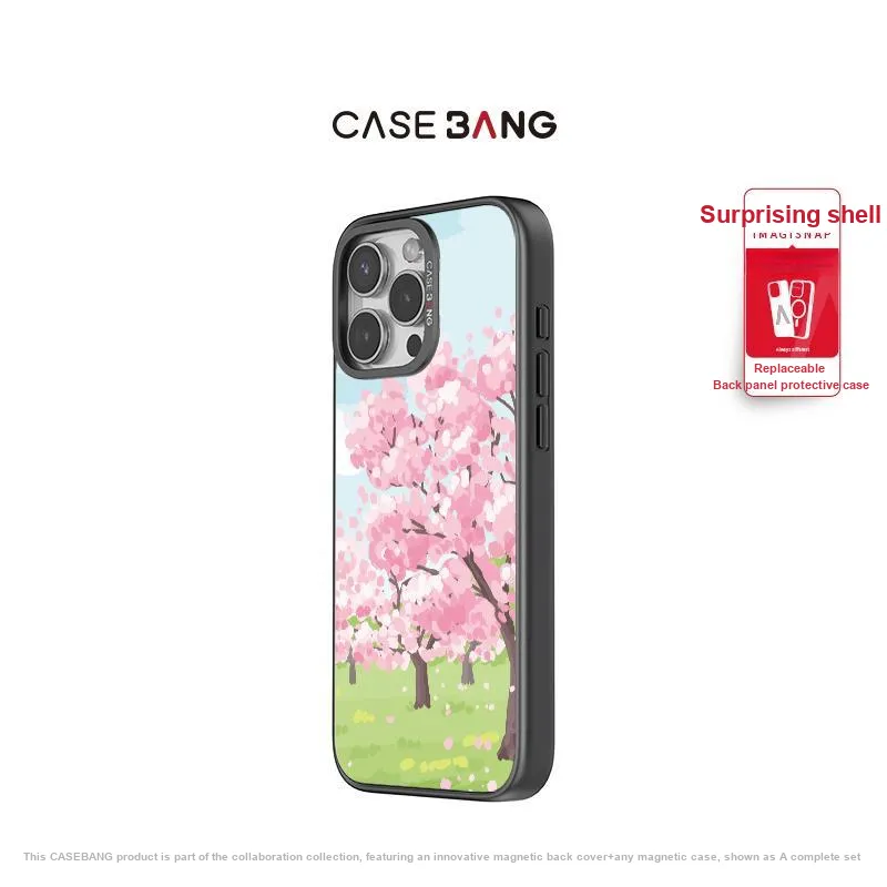 CASEBANG Phone Cases-11