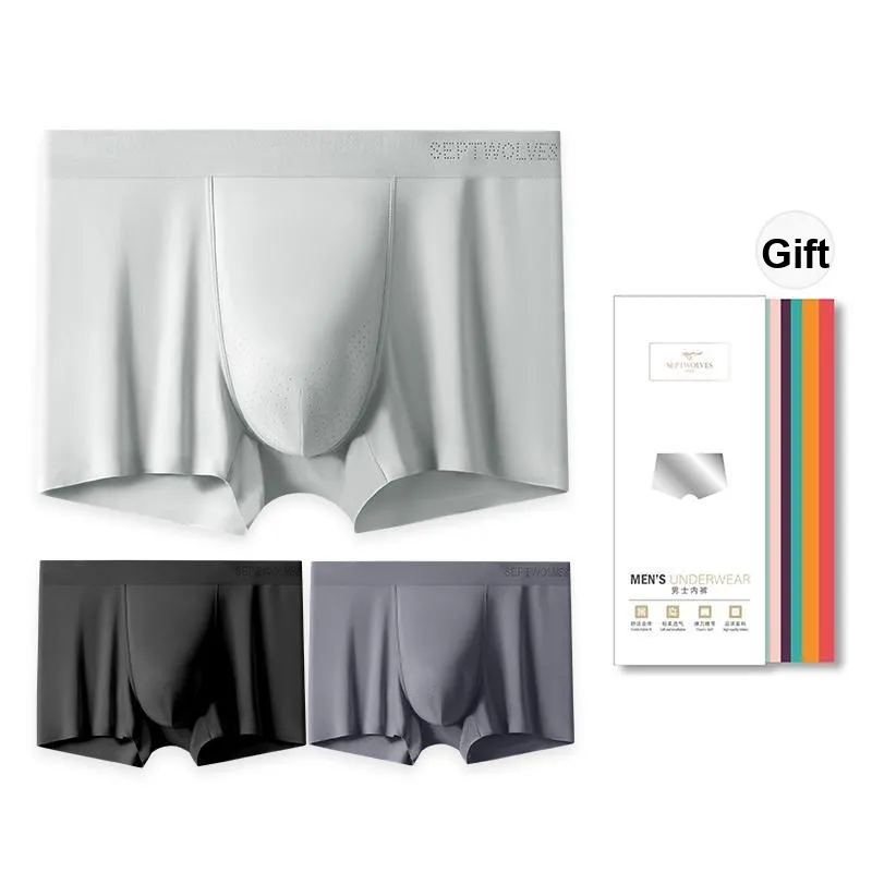 SEPTWOLVES Underpants Men's 3 Pcs Gift Box Set-12