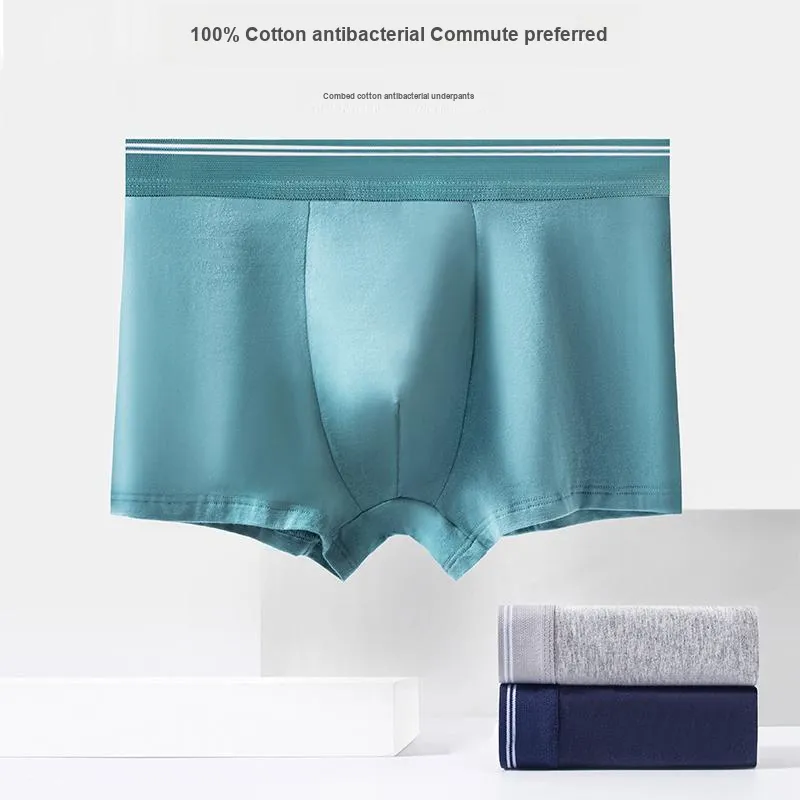 Lan Miao Underpants Men's 2 Pack-21