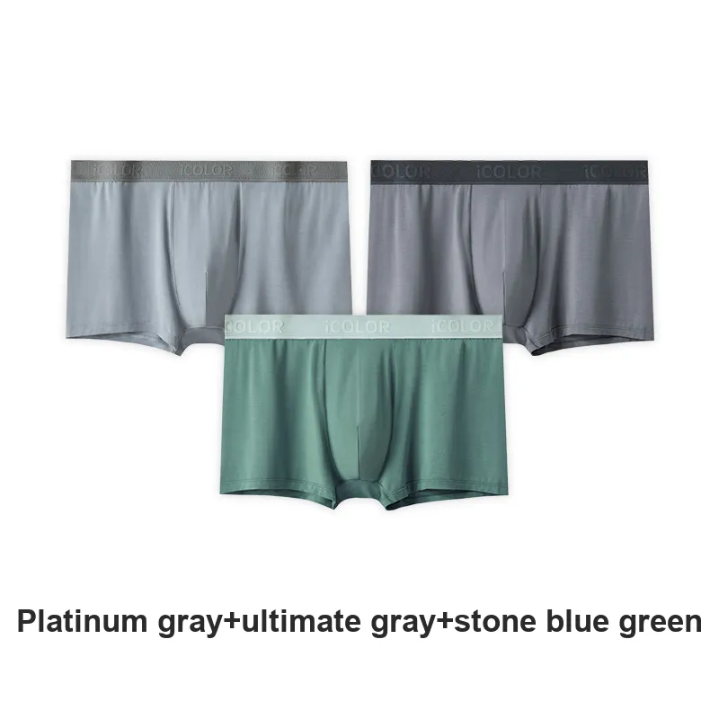 Icolor Men Underpants-3