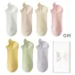 White, Skin, Khaki, Light Pink, Custard, Light Green, Taro Purple (7 Pack)
