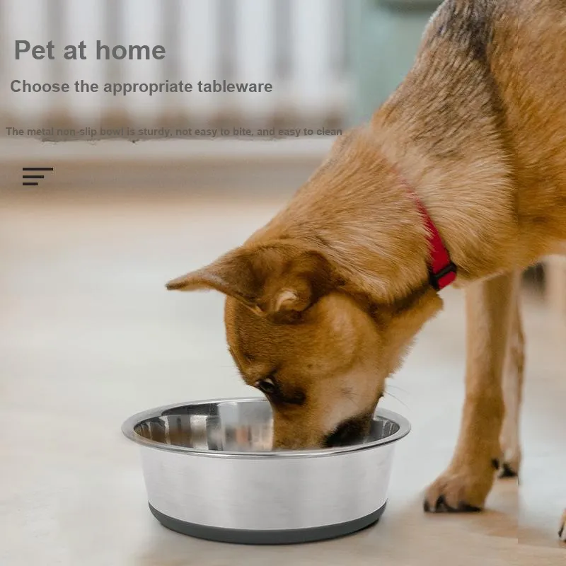 HISTOTREE Cat And Dog Bowls & Slow Feeder Bowls-2