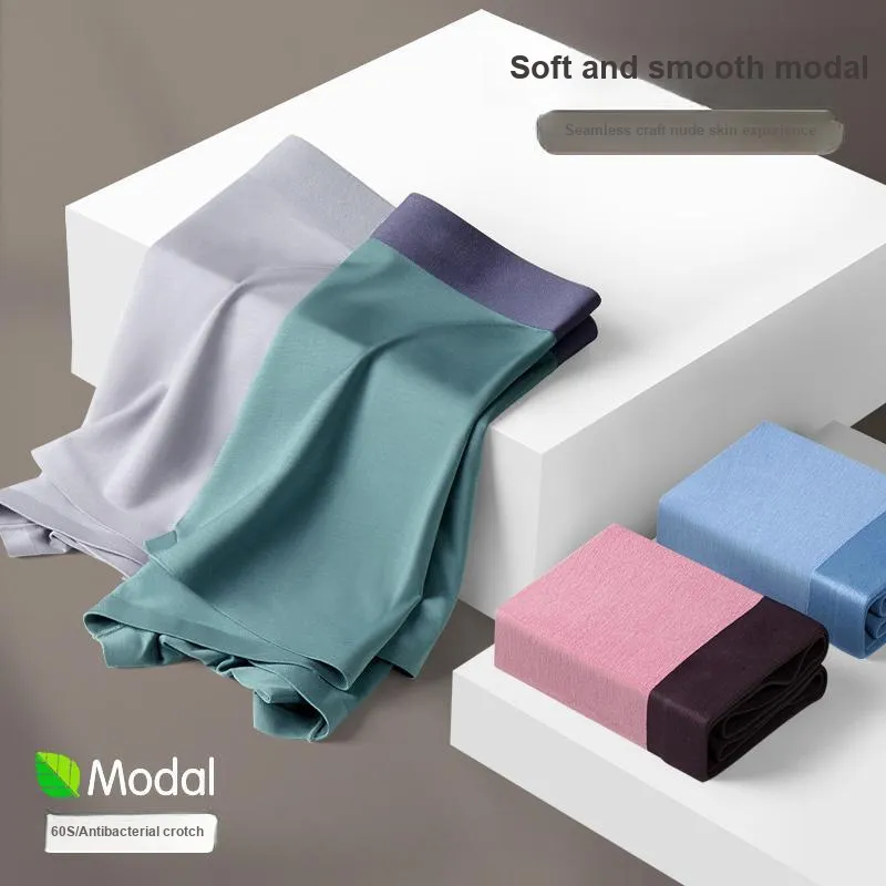 Ordifen SS24 Underpants Men's 4 Pack-6