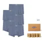 Blue Purple[5 Pack]