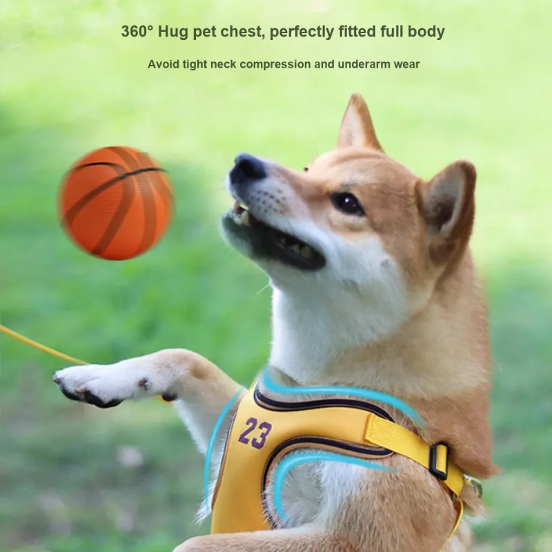 Kimpets Leashes-3
