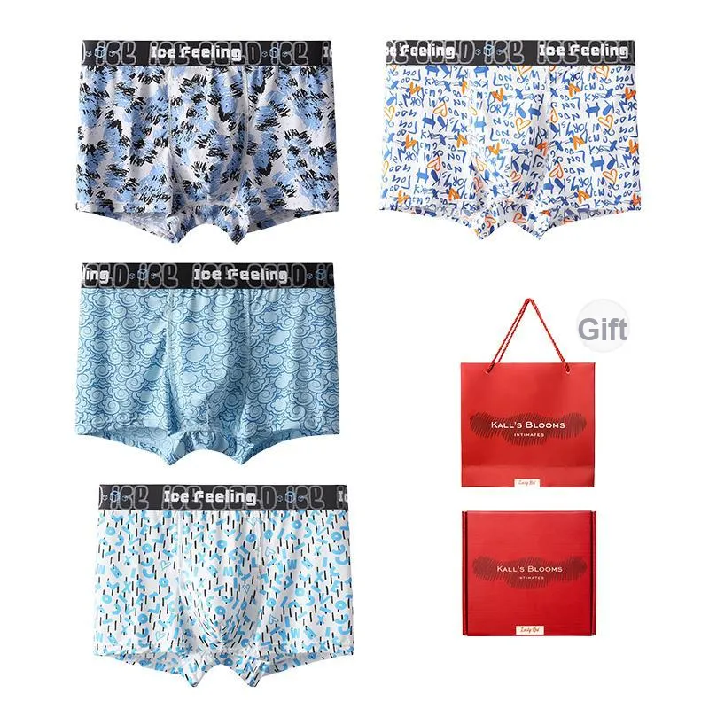 Maiden House Underpants Men's 4 Piece Gift Box Sets