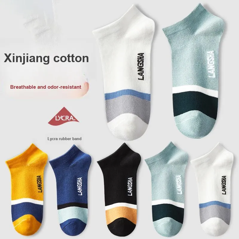 Lanza Men Socks-23