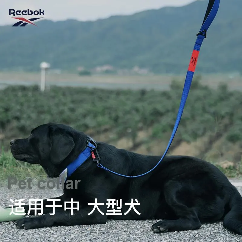 Reebok Leashes-4