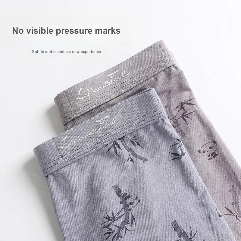 The New Age Family Underpants Men's 2 Pack-3