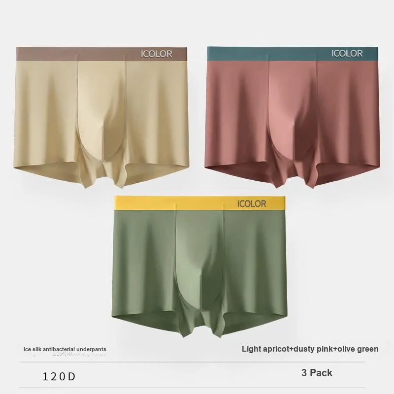 Icolor Men Underpants-13