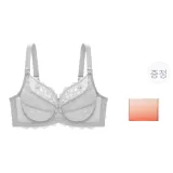 그레이