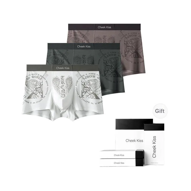 Cheekkiss Underpants Men's Box 3 Pack-4