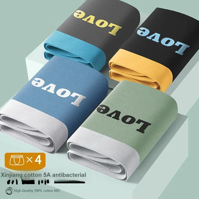 Cotton Gene Underpants Men's 3 Pack-6