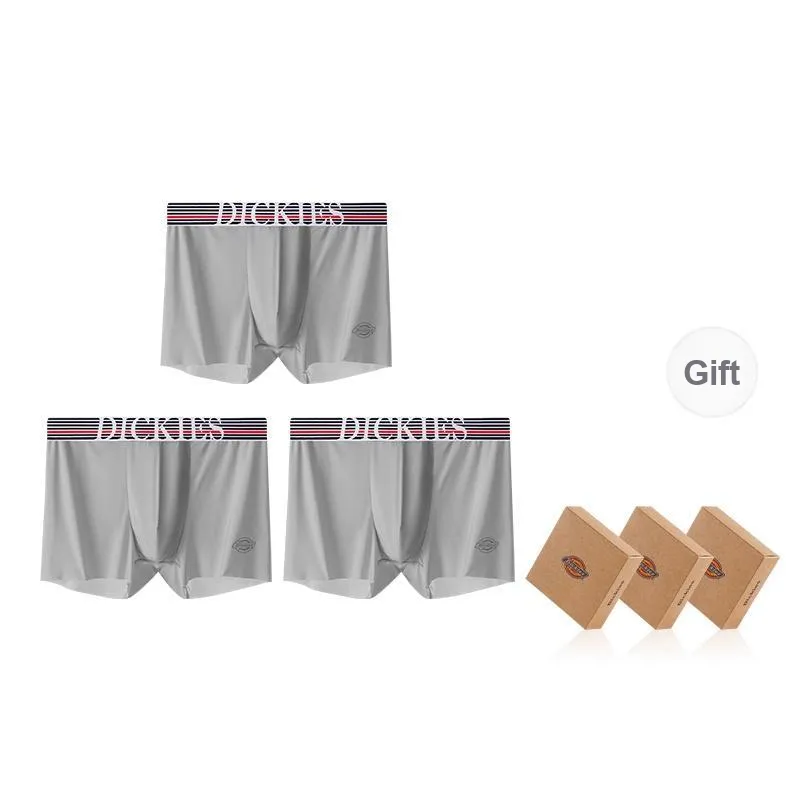 Dickies Underpants Men's Combination Gift Box Set-42