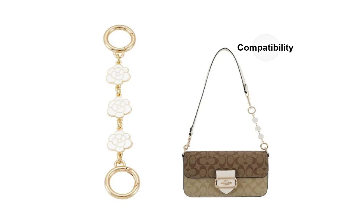 Lan Bao Fan Alloy Bag Accessory Bag Strap Women's Gold Tone