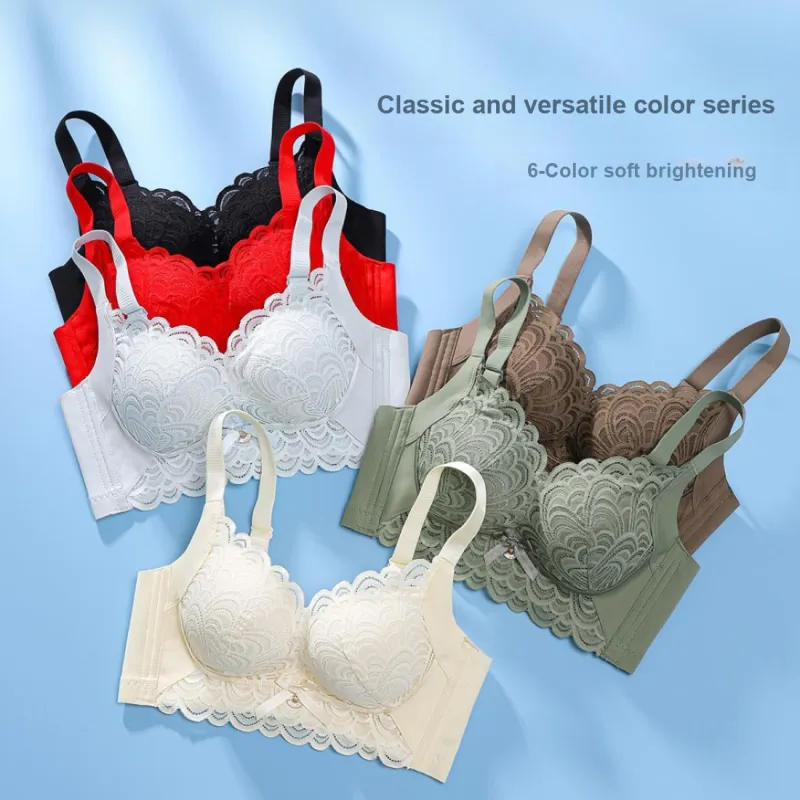 Lanza The Year Of The Dragon Series Bra Women's 2 Pack-178