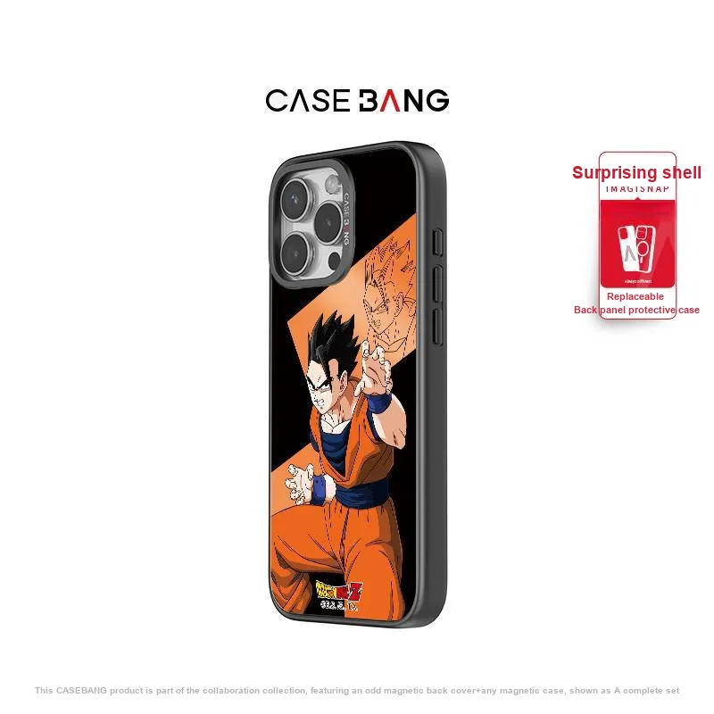CASEBANG Phone Cases-21