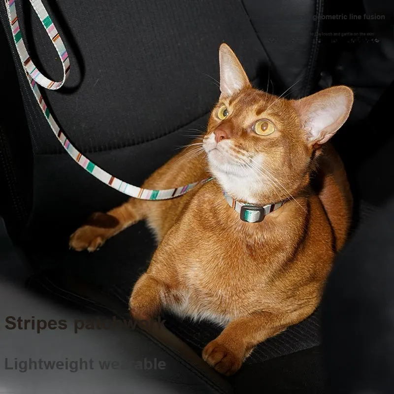 Zeze Leashes-1
