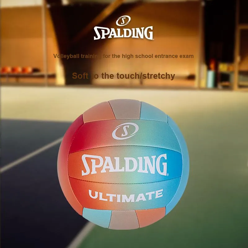 SPALDING Competition Balls Volleyball-2