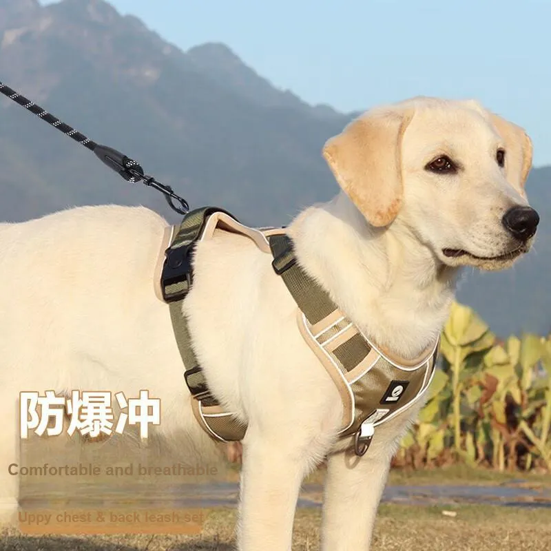 Gasco Leashes-1