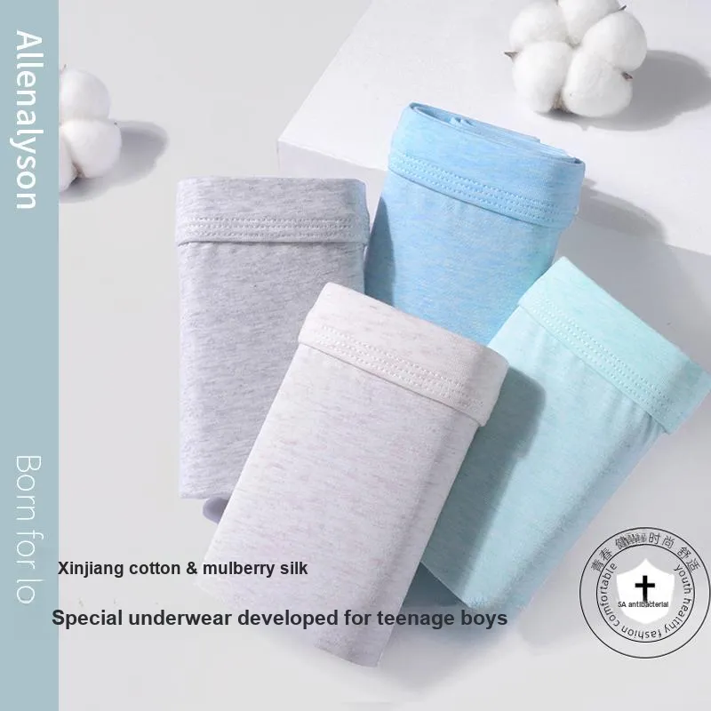 Allenalyson Underpants Men's 3 Pack-12